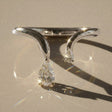 Celeste - Alliance taille poire